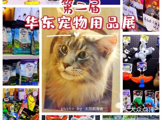 参观第二届华东宠物用品展归来～