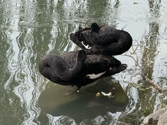 -颐和园