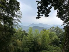 -莫干山风景区