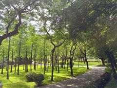 -晓港公园