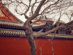 -大雁塔北广场音乐喷泉