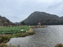 -广州市石门国家森林公园