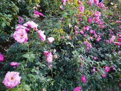 -人民公园(罗湖区)