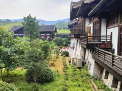 -大唐贡茶院