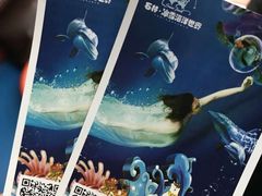-石林冰雪海洋世界