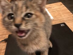 -时光转角咖啡馆(西康路店)