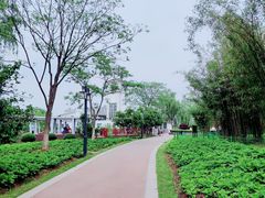-金银湖国家城市湿地公园