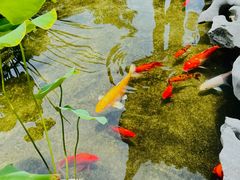 -道南書院·私房菜·早午茶·茶馆