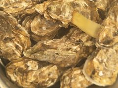 -千岛蚝高压锅生蚝·人参火锅(白云万达店)