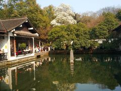 -杭州植物园