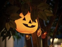 -博林天瑞喜来登酒店·西丽尚膳