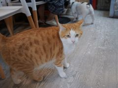 -小时光咖啡馆(北锣鼓巷店)