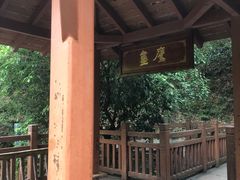 -广州白江湖森林公园