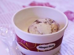 -哈根达斯(武汉天地店)