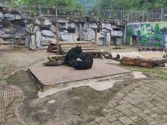 -黔灵山公园
