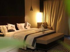 -乌鲁木齐百世昌龙泉酒店(大巴扎店)