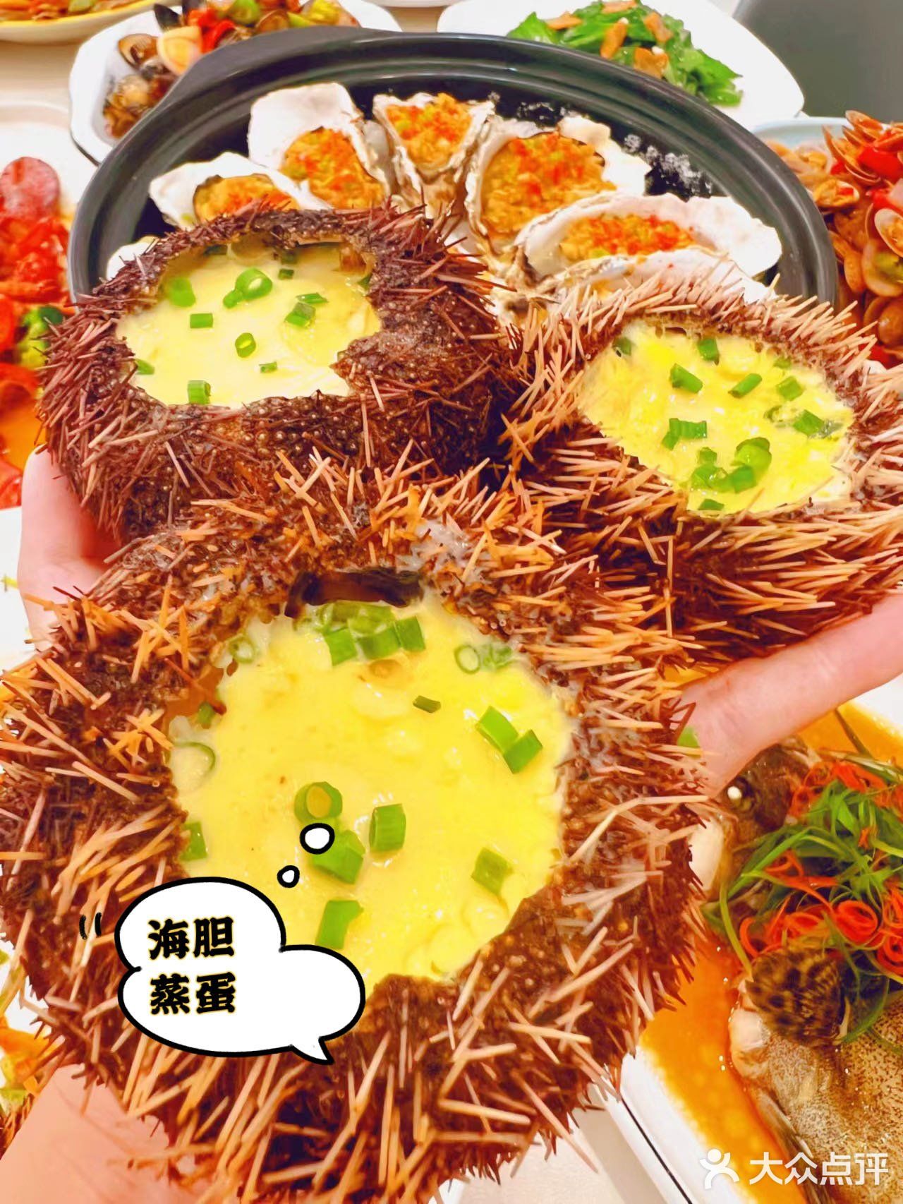 🔥三亚美食/来三亚必吃的顶尖海鲜No.1