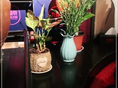 -九鼎轩脆毛肚火锅(徐州苏宁店)