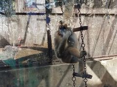 -昆明动物园