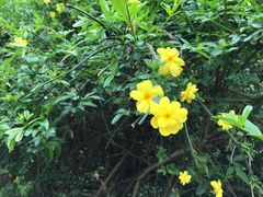 -韶山毛泽东同志故居