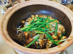 生焗钳鱼煲-大唐靓汤江门私房菜(景田店)