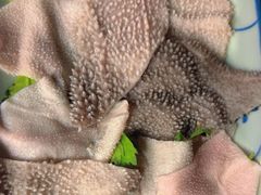 -潮汕•草根牛肉档(中江路店)