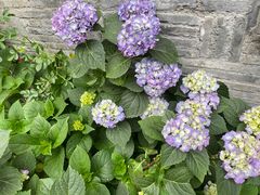 -比格比萨自助(南京万达茂店)