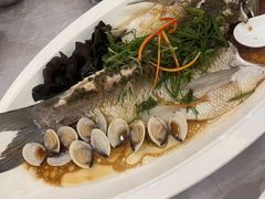 -鹭园酒家·四十年老字号