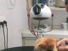 -宠颐生动物医院·小陆分院