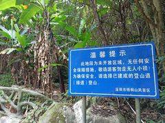 -梧桐山风景名胜区