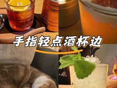 -咖法森林·咖啡  酒吧(天河店)