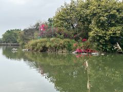 -海珠湖公园