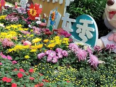 -上海共青森林公园