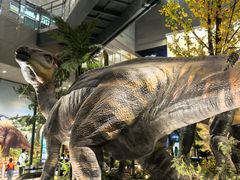 -湖南省地质博物馆