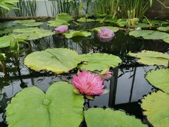 -国家植物园南园