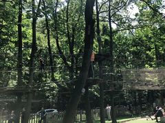 -WeLope紫金山探险公园