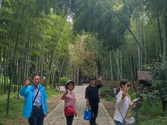-同里国家湿地公园