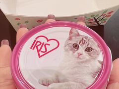 -藏猫猫咖啡主题馆(中央大道店)