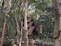 -西双版纳安纳塔拉度假酒店