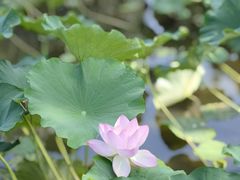 -北京宽沟会议中心