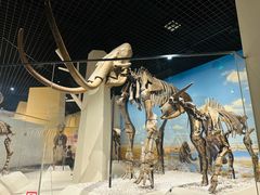 -国家自然博物馆