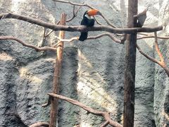-武汉动物园