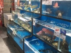 水产区-盒马鲜生(曜一城店)