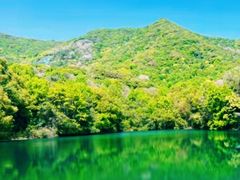 -杭州半山国家森林公园