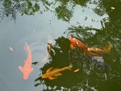 -成都杜甫草堂博物馆