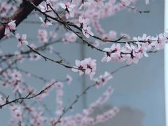 -北京华联购物中心(天通苑店)