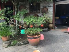 -青城甲(青城山店)