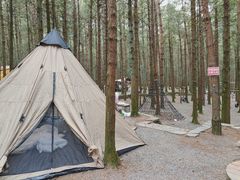 -重庆睡佛山森林公园
