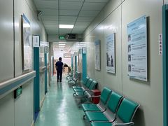 -北京观赏动物医院·24小时大型综合·猫专科·异宠专科