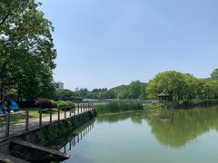 -月湖风景区